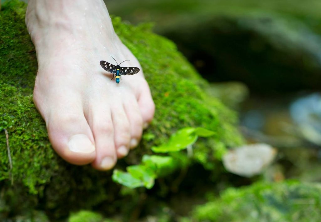 Tropic Skincare Foot Care: Your Secret Weapon for Silky, Confident Feet All Year Round